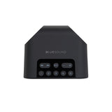 Bluesound PULSE FLEX 2i Portable Wireless Multi-Room Music Streaming Speaker + Installation